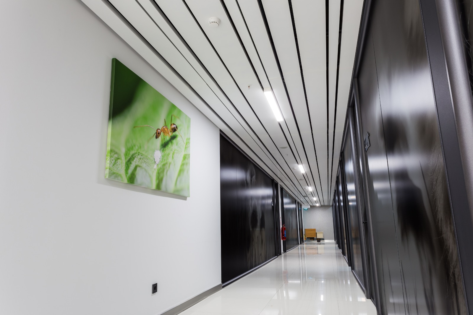 Linear - Tube Asma Tavan — photo 3